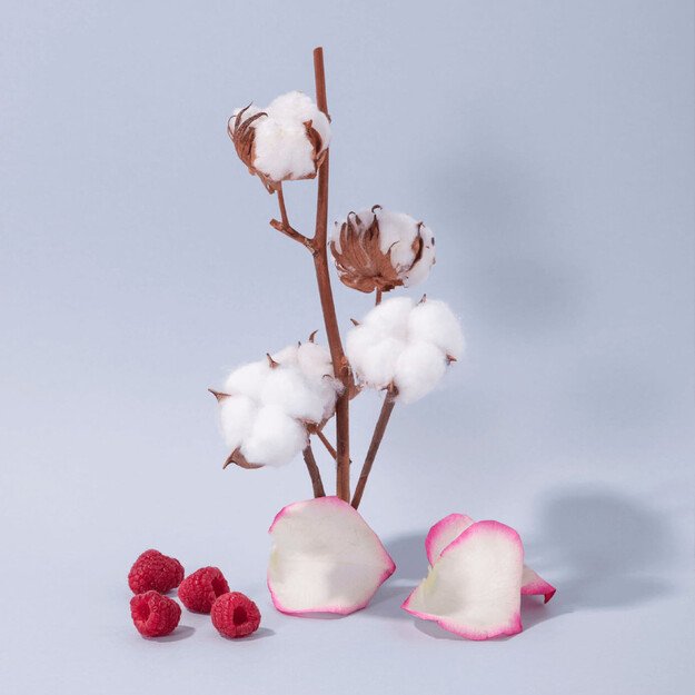 Compagnie de Provence "Cotton flower" rankų kremas