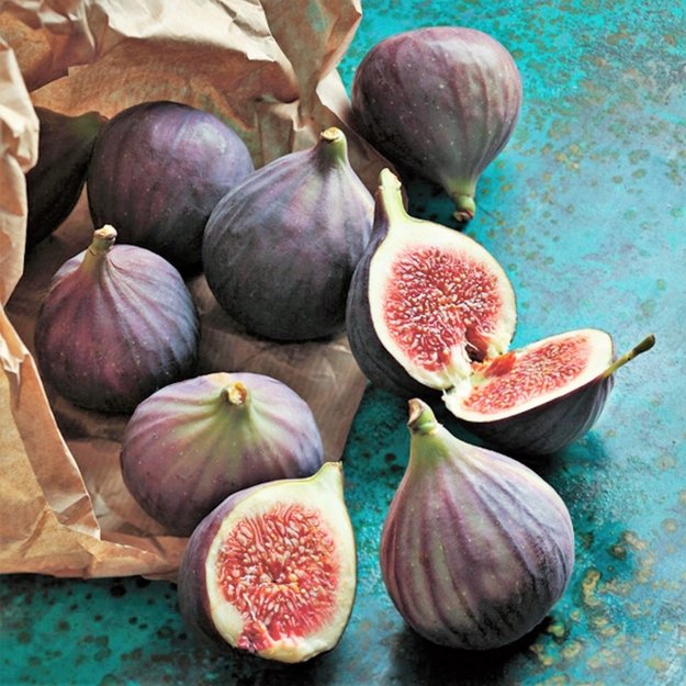 Compagnie de Provence Terra "Fig" rankų kremas