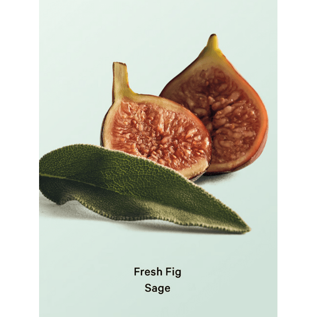 Victoria's Secret "Fresh Fig Sage" kūno losjonas
